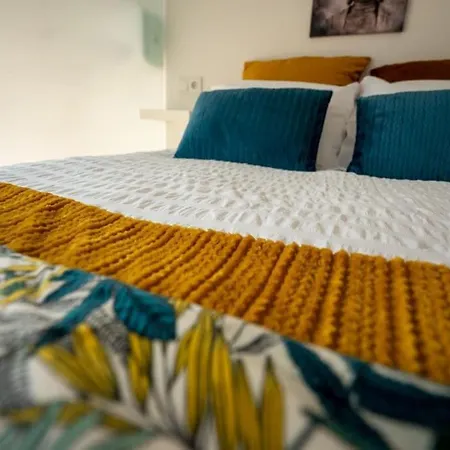 Ilha D'ouro House S. Vitor Ii Apartamento *